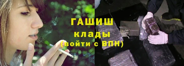 шишки Аркадак