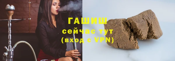 шишки Арсеньев