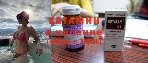 шишки Аркадак