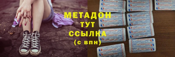шишки Аркадак