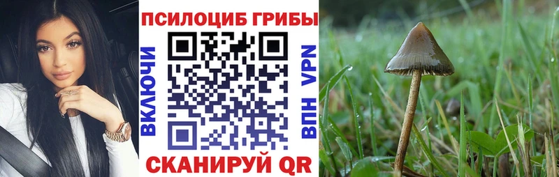 Псилоцибиновые грибы ЛСД  blacksprut рабочий сайт  площадка клад  Строитель 